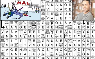 Krysset lsning vecka 19, 2025