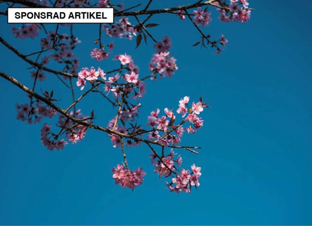 Sommaren 2025 i Vstra stergtland 