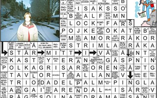 Krysset lsning vecka 21, 2025