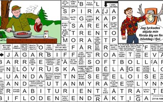 Krysset lsning vecka 26, 2025