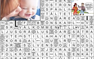 Krysset lsning vecka 28, 2025