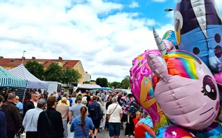 Trngsel och trivsel p Sknninge marken