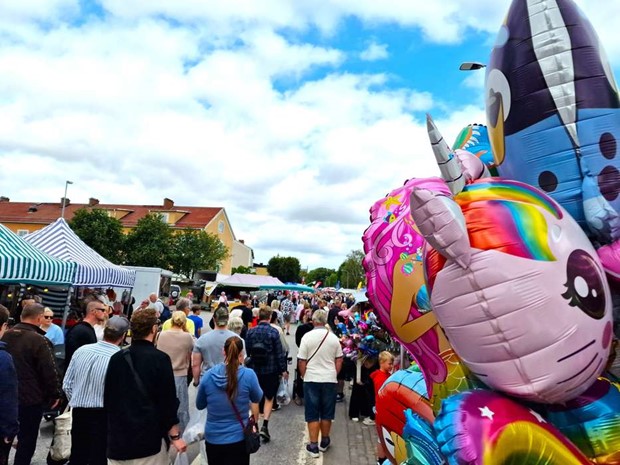 Trngsel och trivsel p Sknninge marken