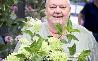 Blomsterhandlaren har hgssong ret runt