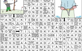 Krysset lsning vecka 31, 2025