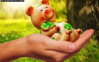 Svenska spelbolag g�r bra aff�rer trots �kad konkurrens fr�n utl�ndska sidor 