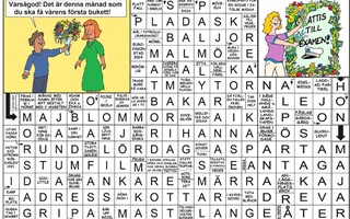 Krysset lsning vecka 39, 2025