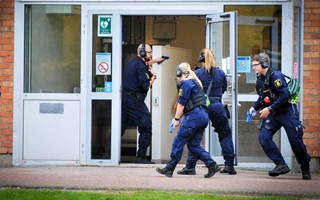 Blljus vade pgende ddligt vld