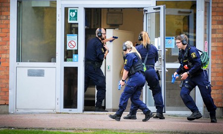 Blljus vade pgende ddligt vld