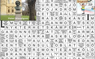 Krysset lsning vecka 41, 2025