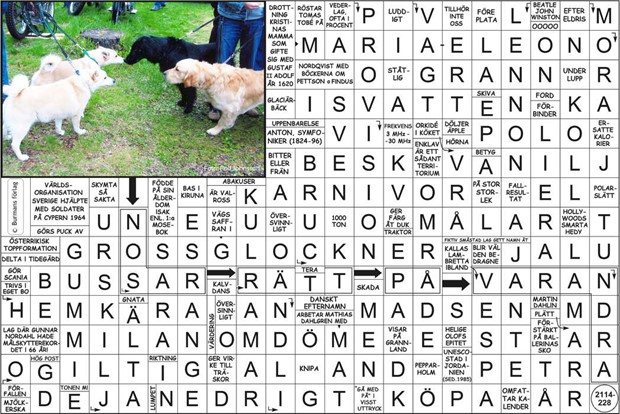 Krysset lsning vecka 42, 2025