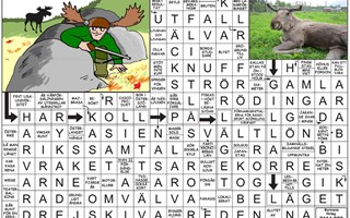 Krysset l�sning vecka 44, 2025