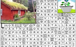 Krysset l�sning vecka 45, 2025