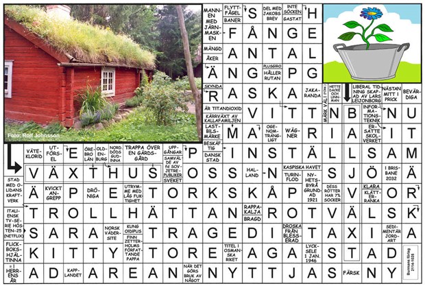 Krysset lsning vecka 45, 2025