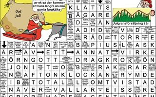 Krysset l�sning vecka 48, 2025