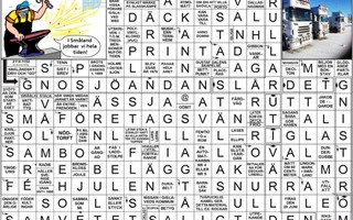 Krysset l�sning vecka 8, 2026