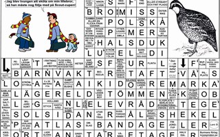 Krysset l�sning vecka 11, 2026 