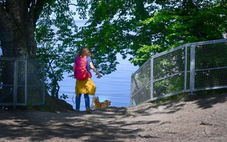 G� p� vandringstur i sommar