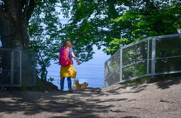 G� p� vandringstur i sommar