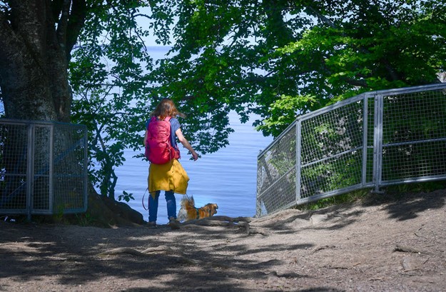 G� p� vandringstur i sommar