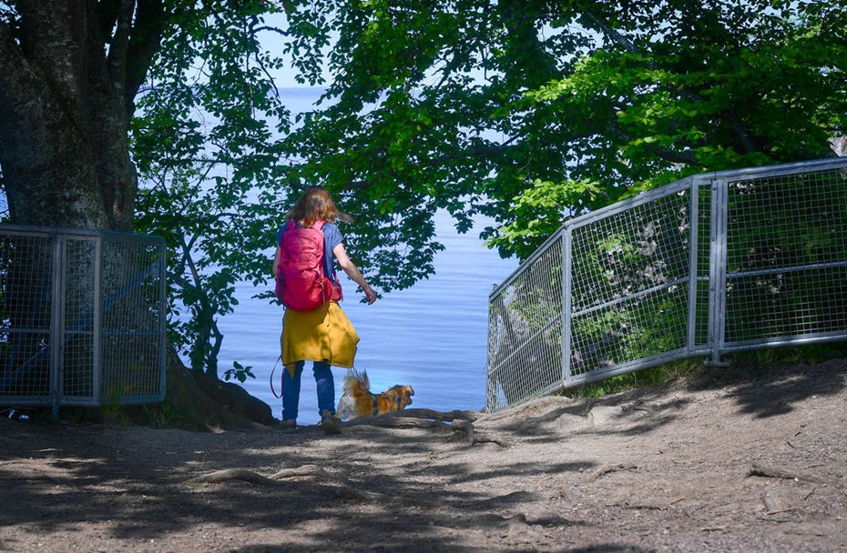 G� p� vandringstur i sommar