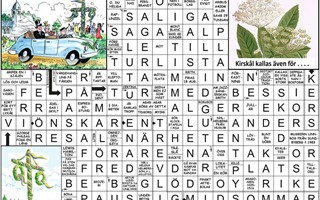 Krysset l�sning v22, 2026