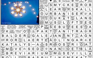 Krysset l�sning v25, 2026