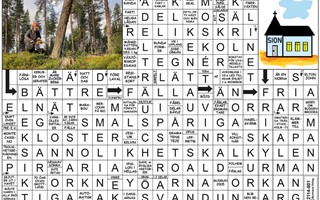 Krysset l�sning v29, 2026
