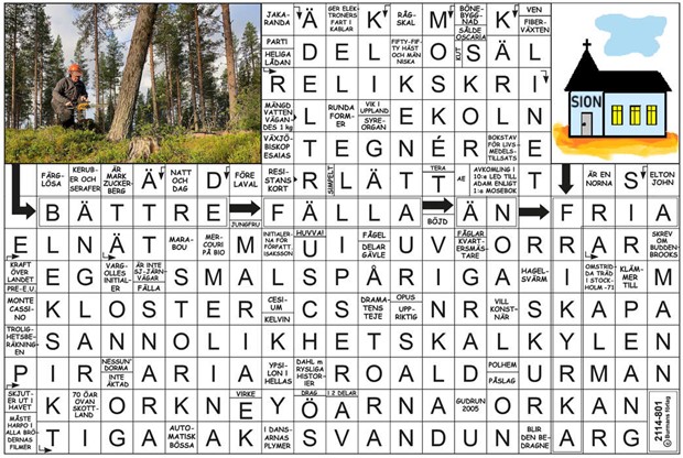 Krysset l�sning v29, 2026